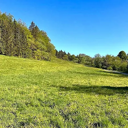 Smart B&b2 Bb2 303 Hotel Winterberg
